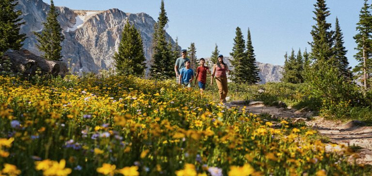 A family hikes down a trail alongside colorful wildflowers.
